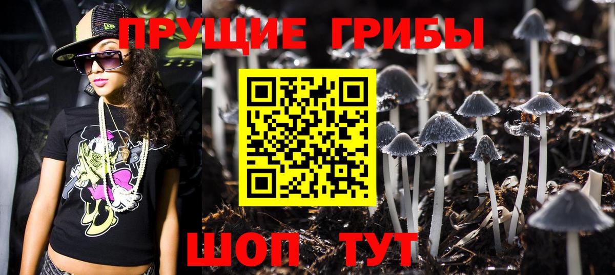 Чусовой  Галлюциногенные грибы MAGIC MUSHROOMS  где можно купить наркотик  Вход с VPN 